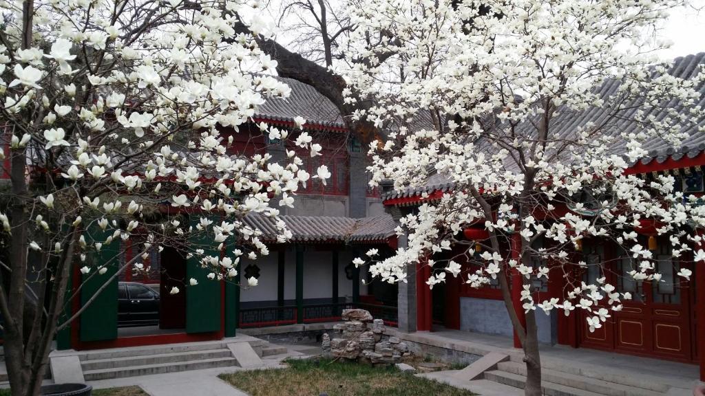 Scholar Tree Courtyard Hotel Peking Kültér fotó